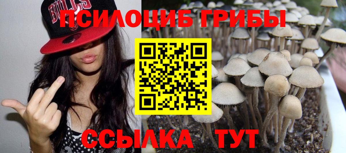 Галлюциногенные грибы GOLDEN TEACHER  Вход с VPN  Ишимбай  Псилоцибиновые грибы Psilocybine cubensis 